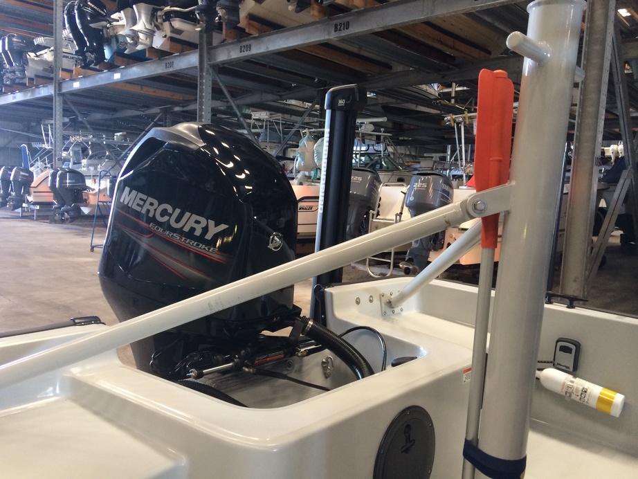 Boston Whaler Guardian