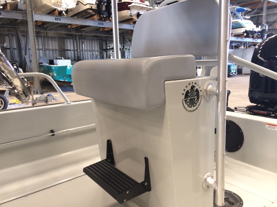 Boston Whaler Guardian