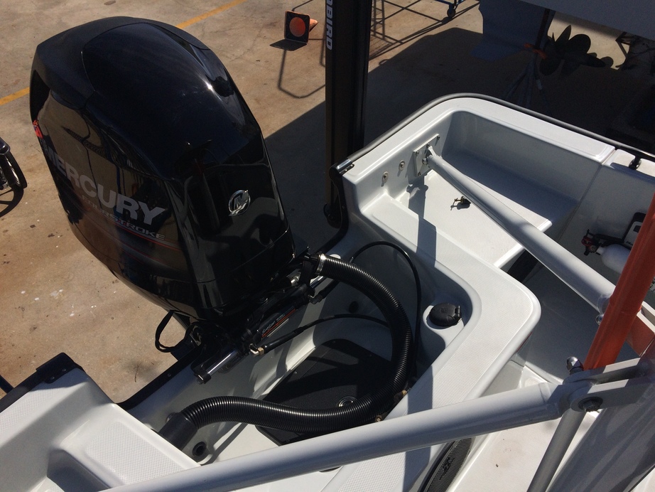 Boston Whaler Guardian