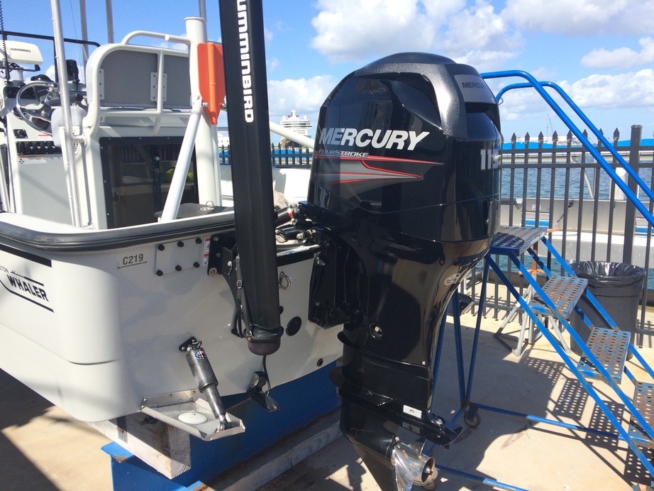 Boston Whaler Guardian